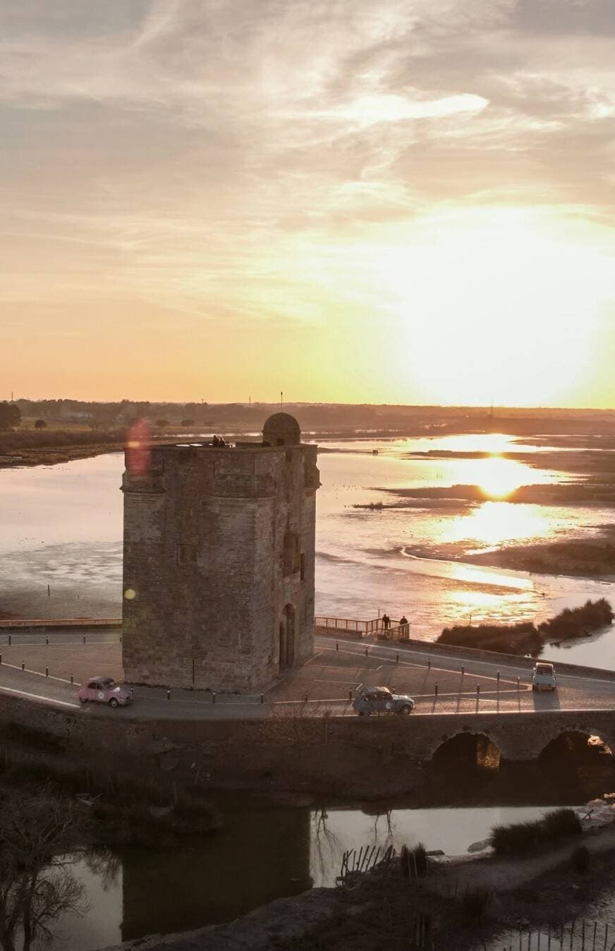 Camargue Safari Tours 1