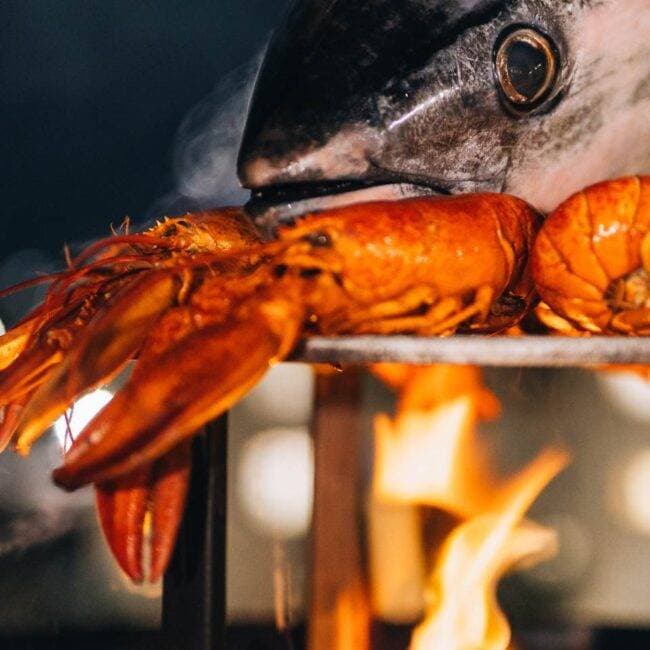 Brasero Gourmand 22