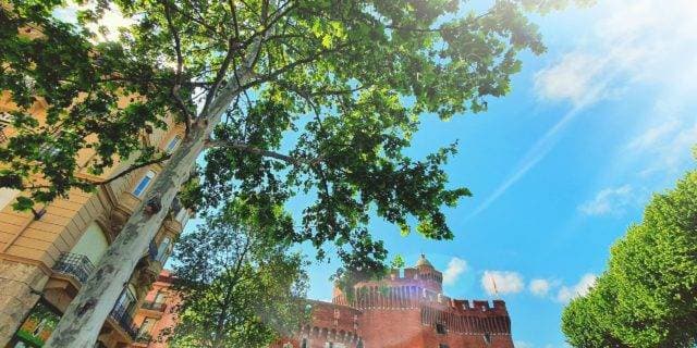 Dali Hôtel Perpignan 1
