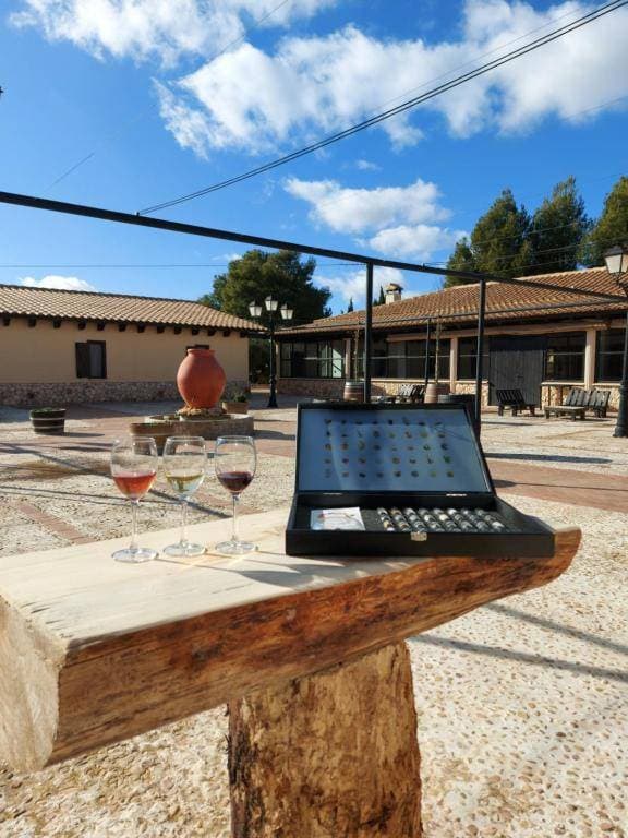 Enoturismo Mainetes 6