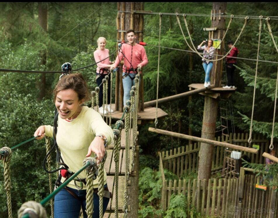 Go Ape Glentress Forest 1