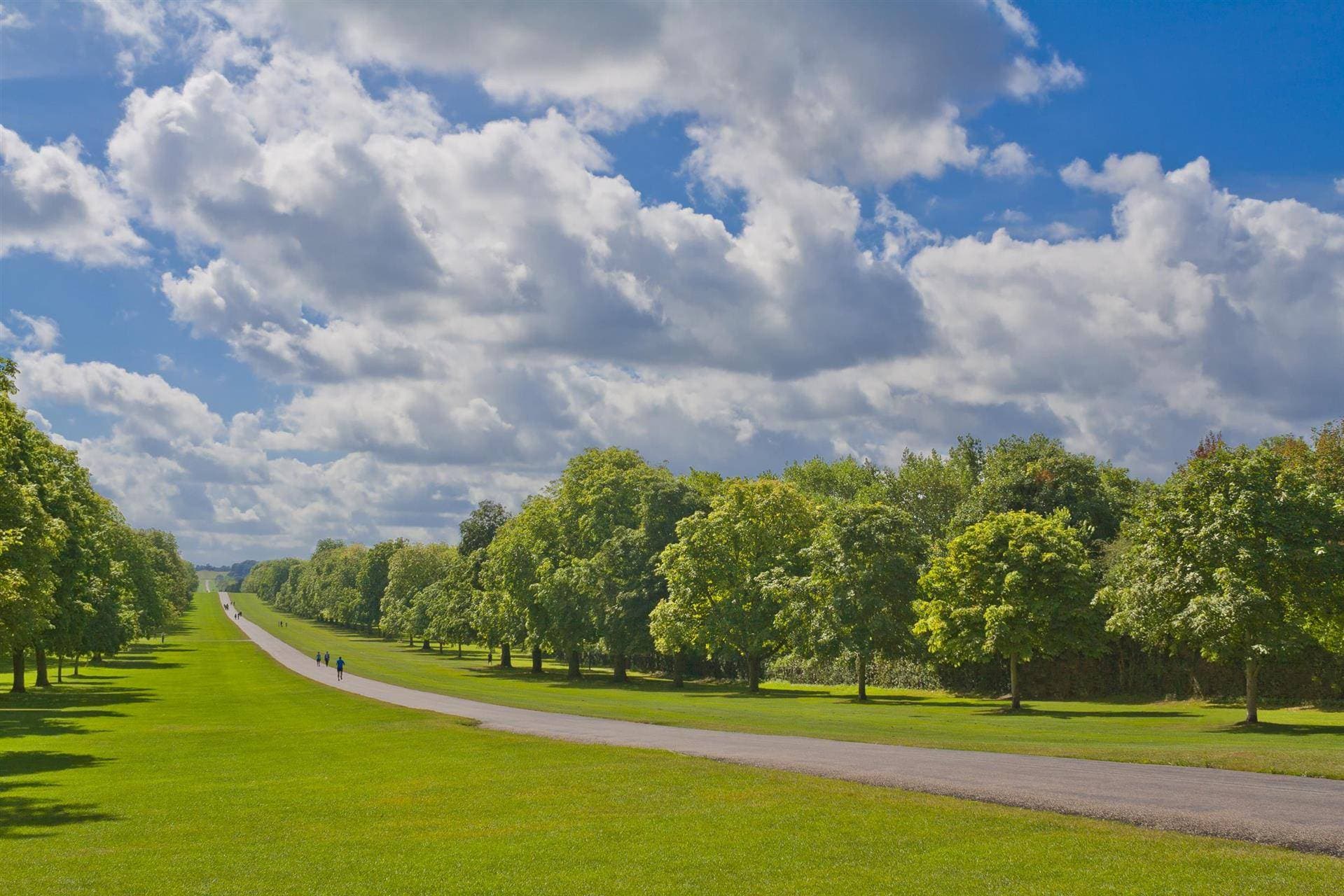 Fairmont Windsor Park 17