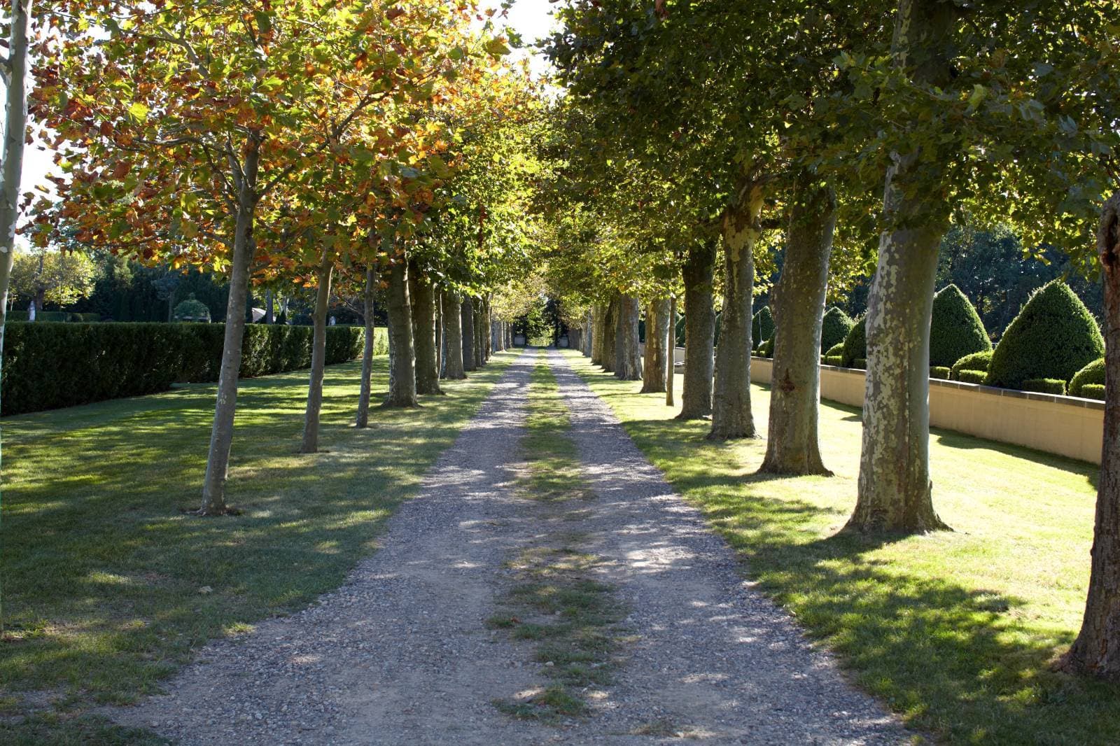 OHEKA CASTLE 13