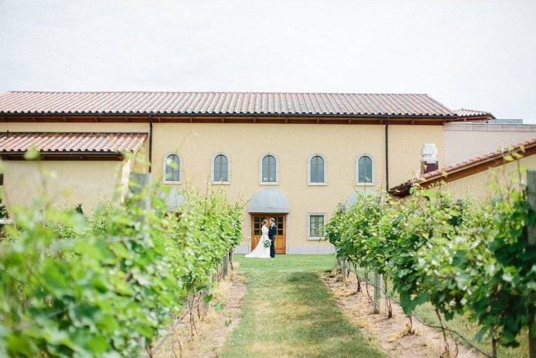 Villa Bellezza Winery & Vineyards 13