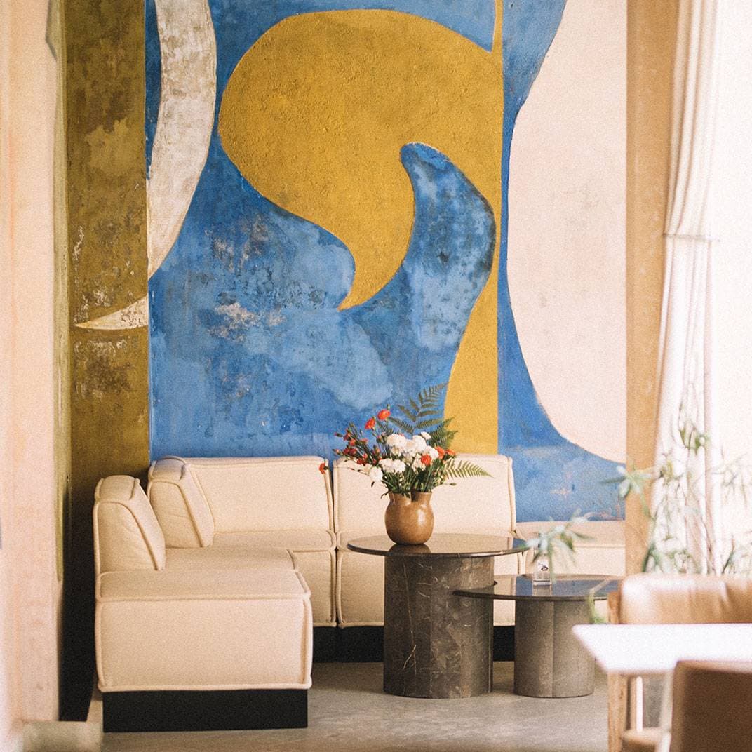 Pug Seal Oaxaca 7