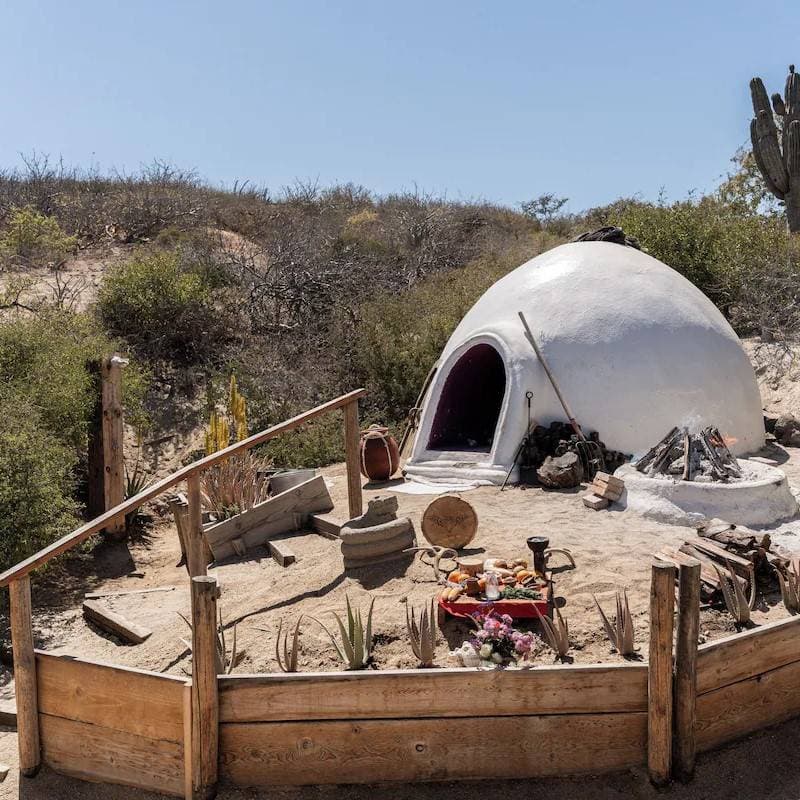 NEST Baja 6