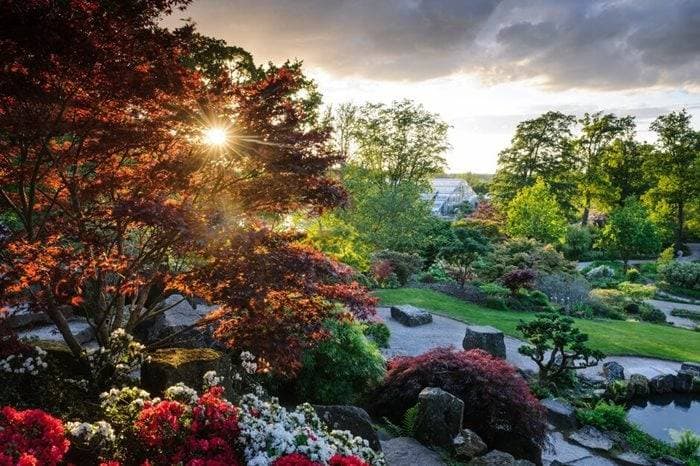 RHS Garden Wisley 12