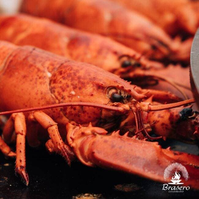 Brasero Gourmand 12
