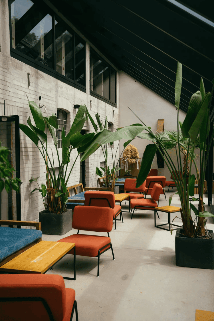 ASTRÆA - Eco Resort 5