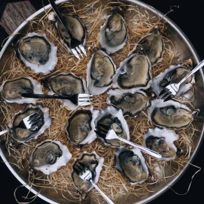 Brasero Gourmand 7