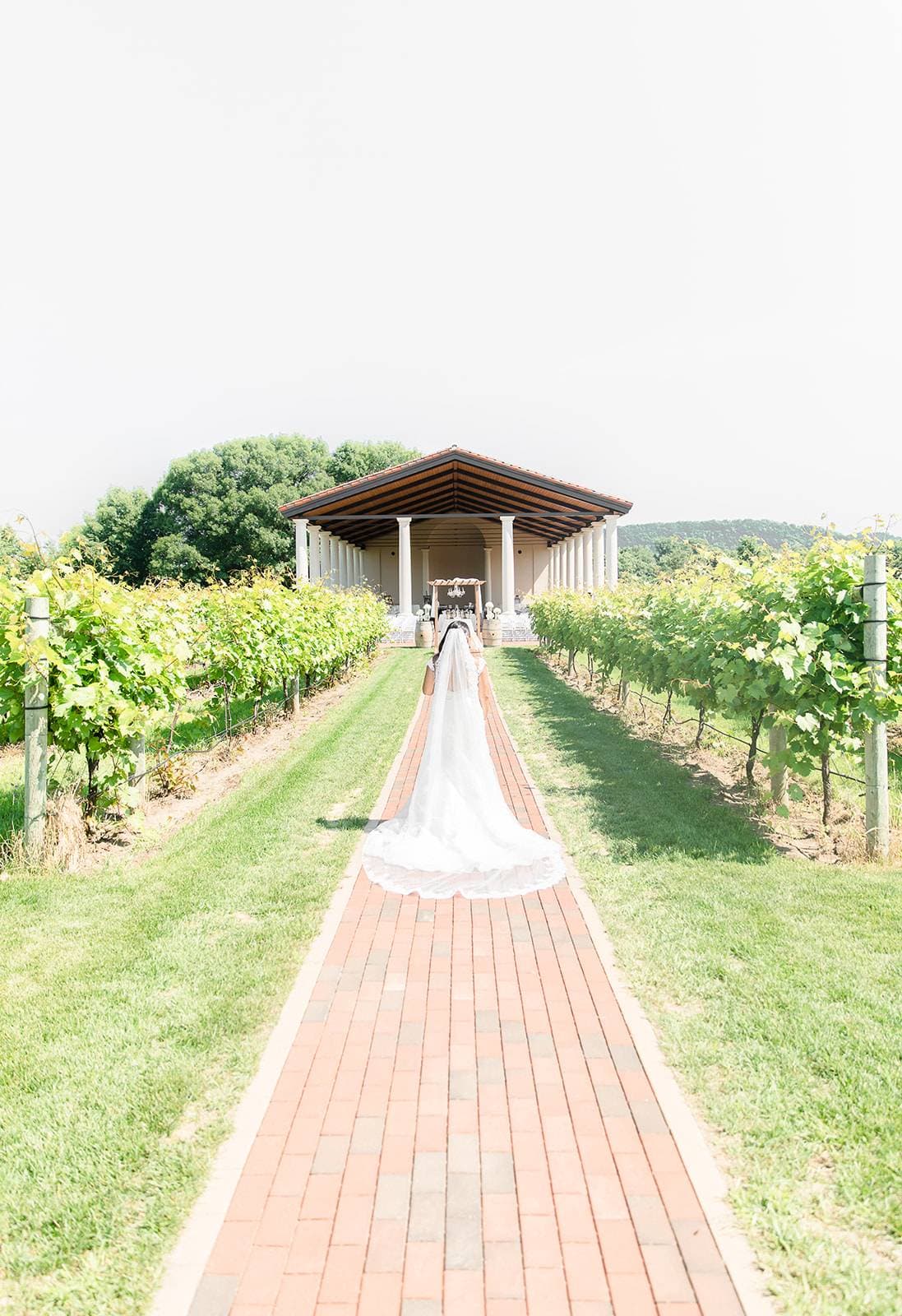 Villa Bellezza Winery & Vineyards 5