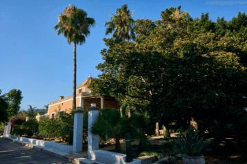 Masia Fuente La Reina 10