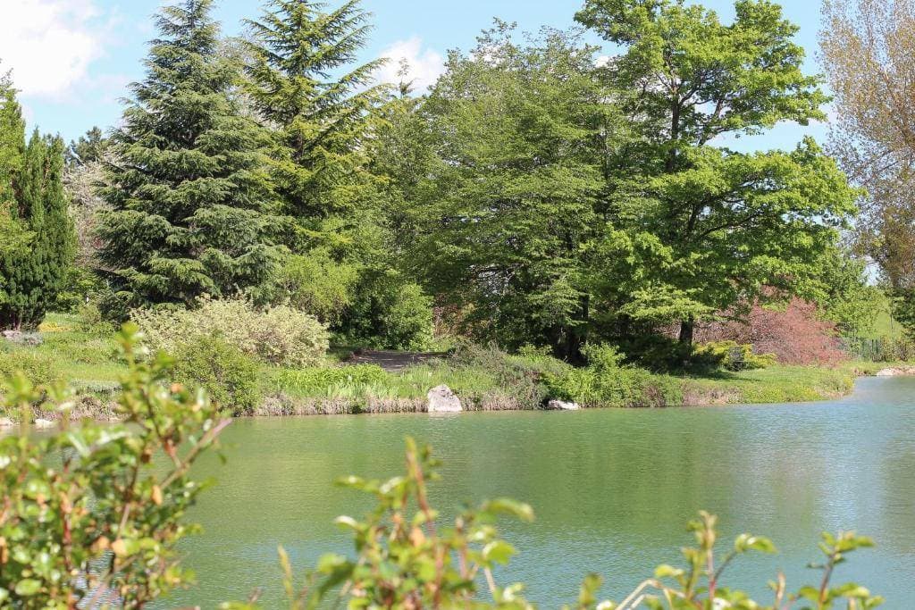Parco Del Lago Hotel Ristorante 8
