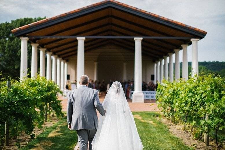 Villa Bellezza Winery & Vineyards 15