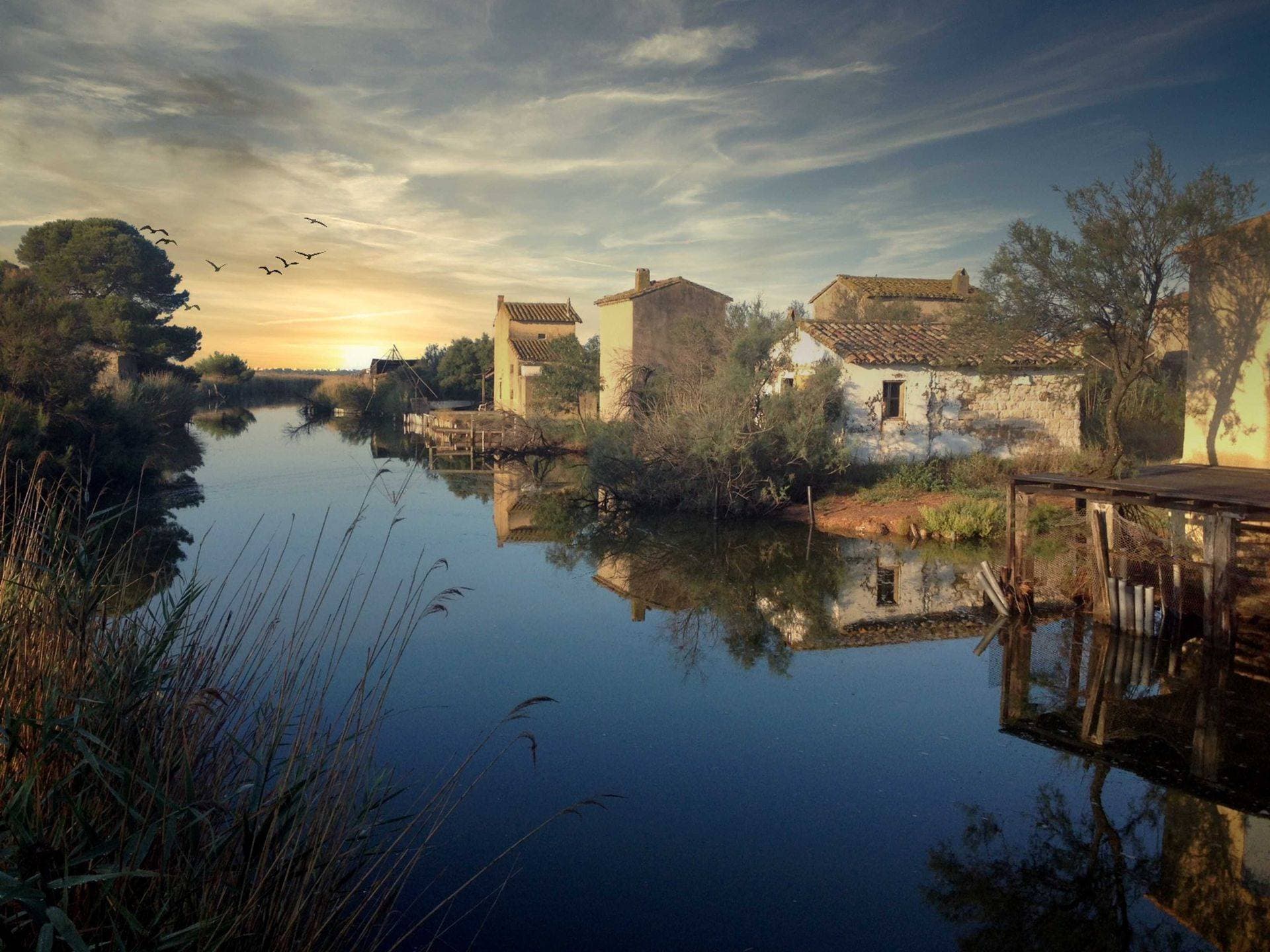 Safari Camargue 1