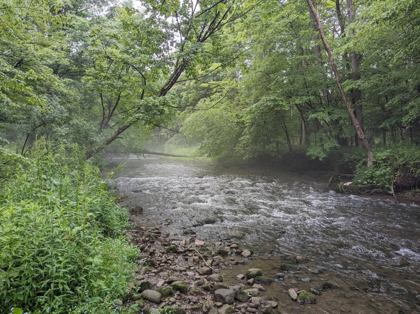 Blueberry Brook Farm Resort 10