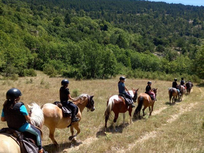 A Lure a Cheval 1