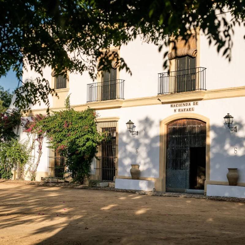 Hacienda de San Rafael 1