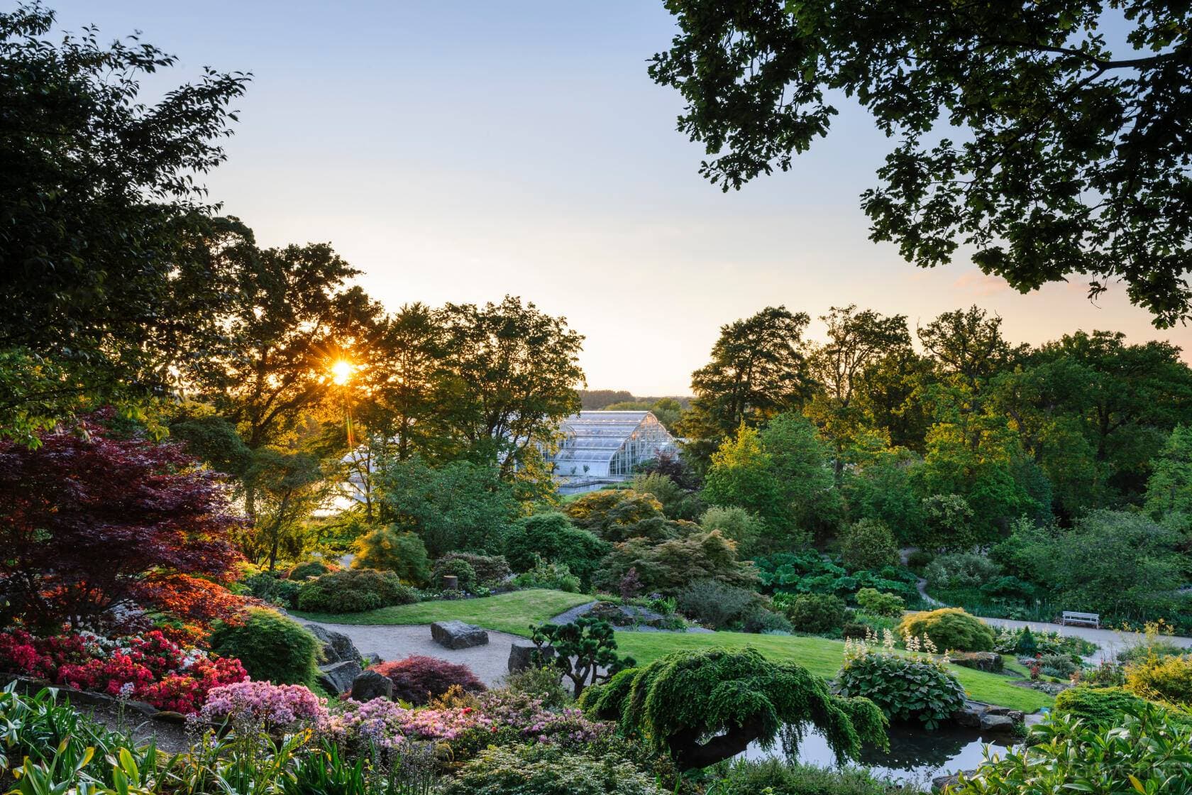 Hilltop at RHS Garden Wisley 46
