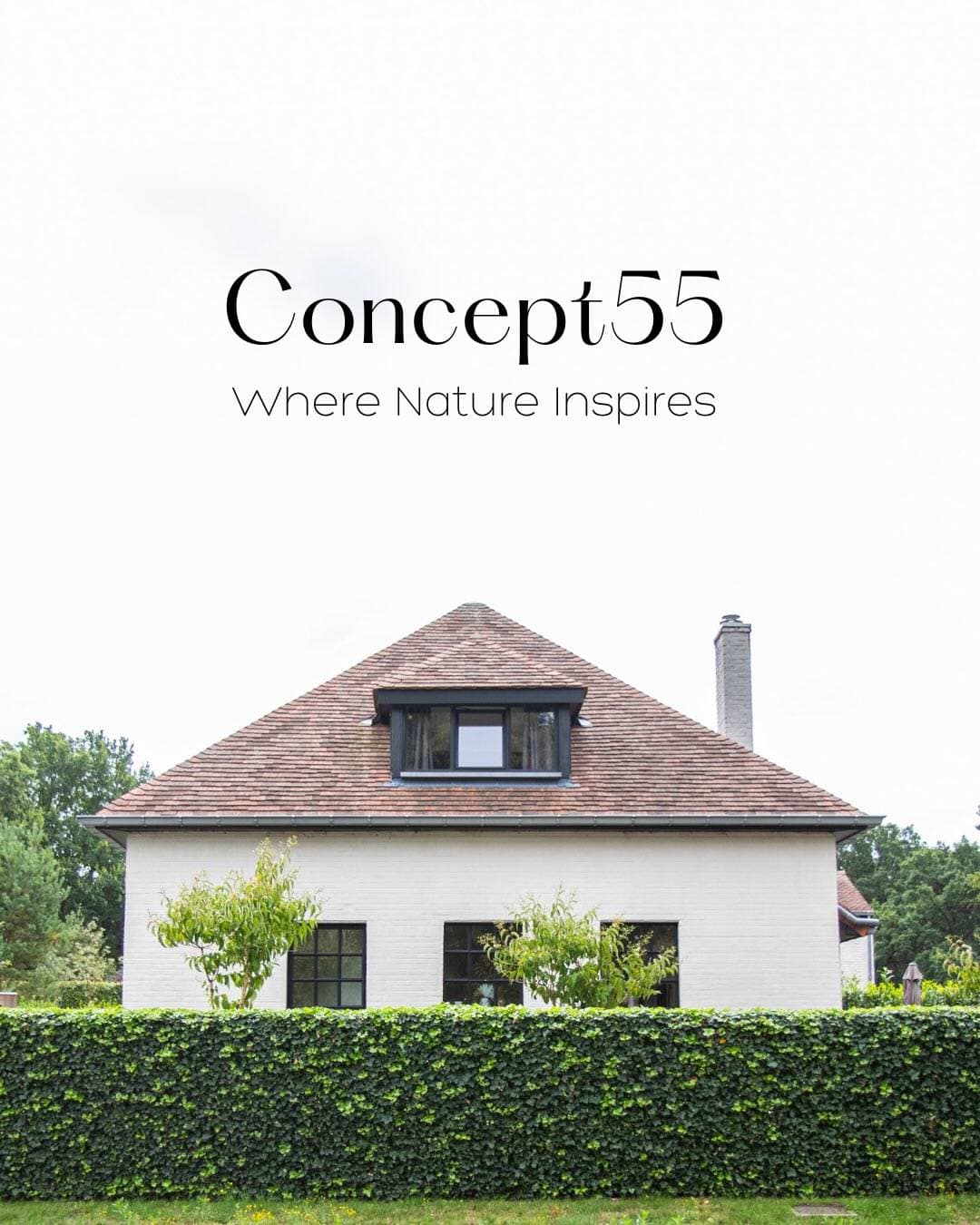 Concept55 1