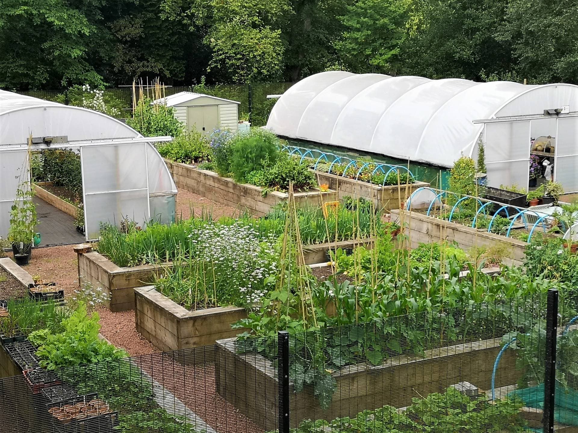 Castlebank Horticultural Centre 3