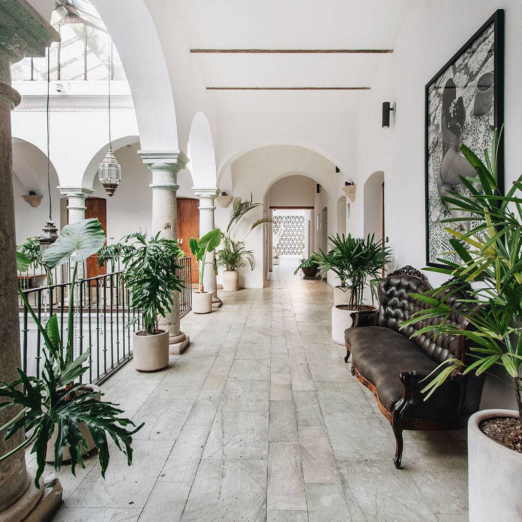 Hotel Sin Nombre 14