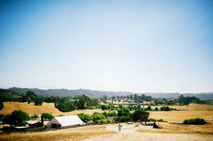 Spreafico Farms 12