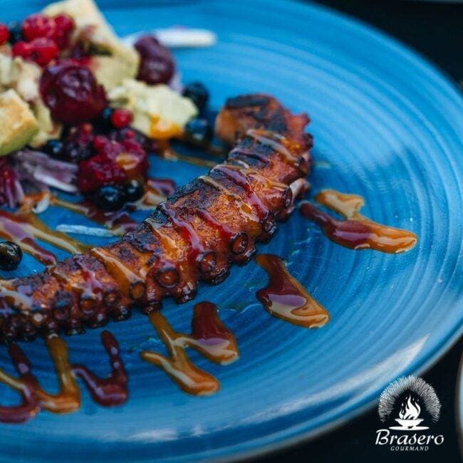 Brasero Gourmand 11