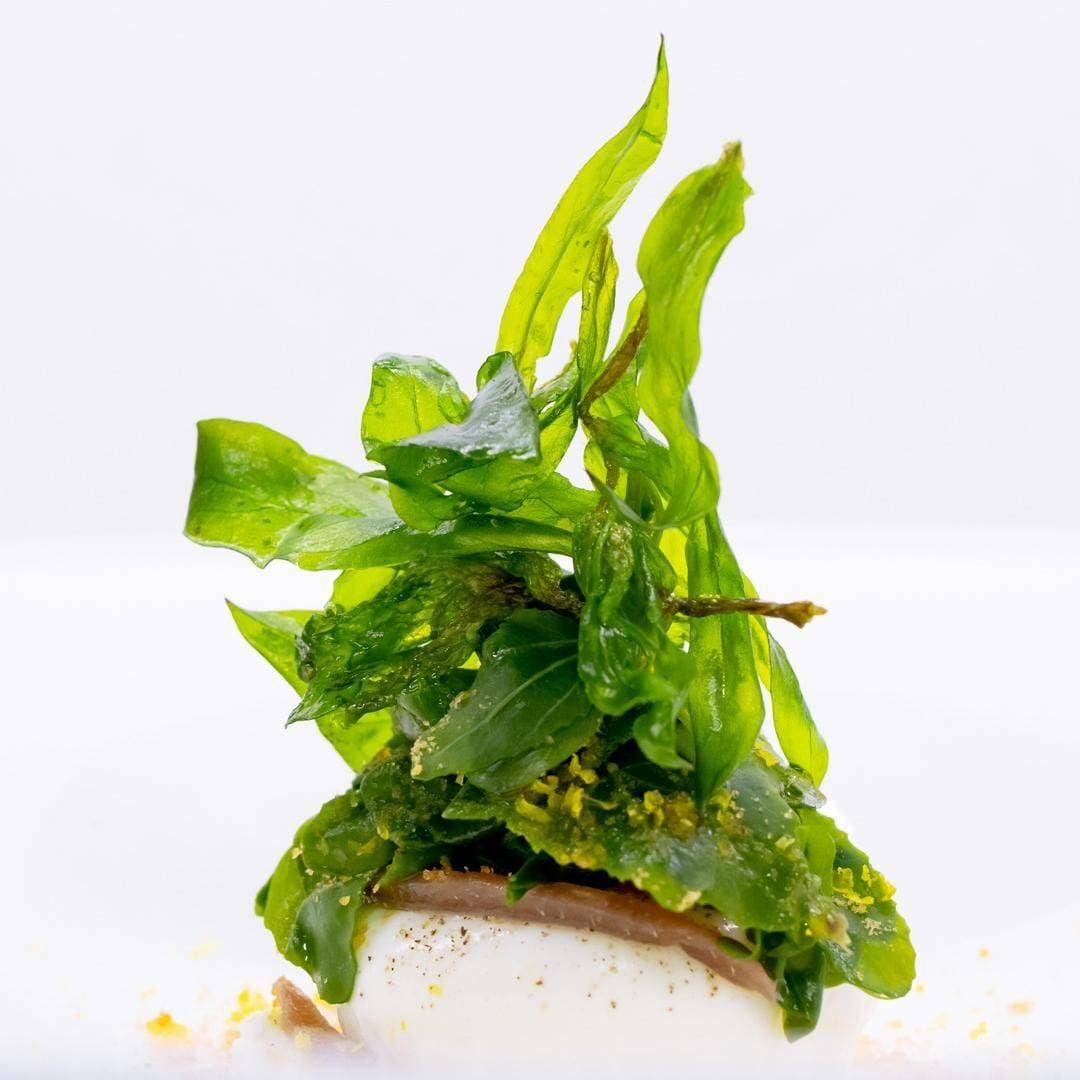 Le Tre Colombe 10