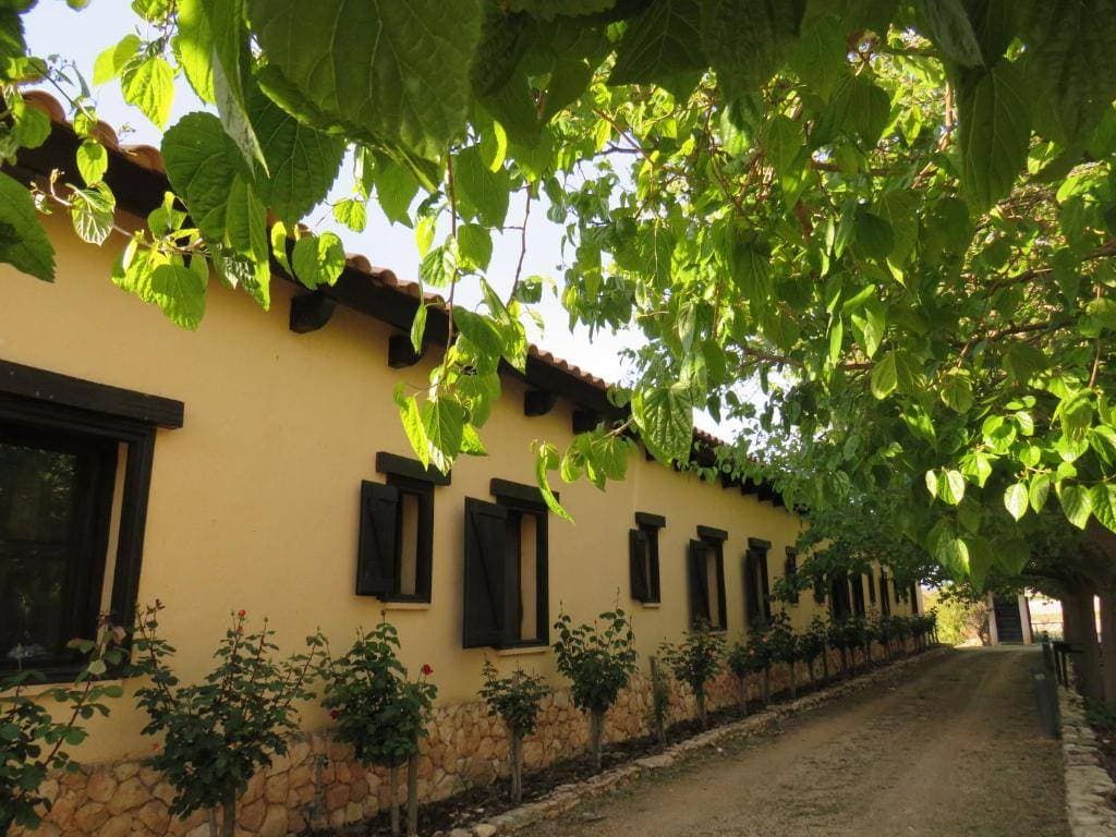 Enoturismo Mainetes 4