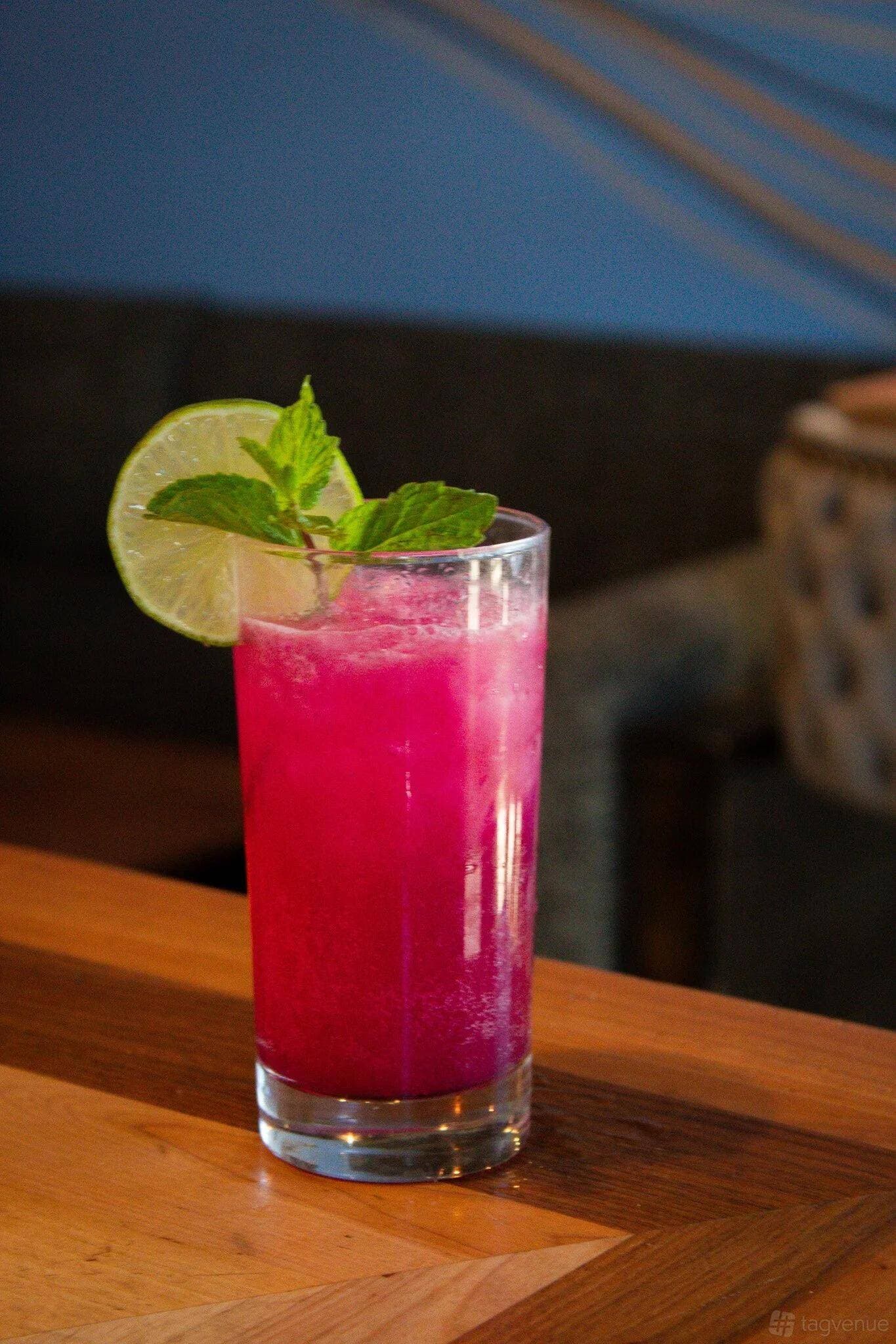 Fin N Tonic 10