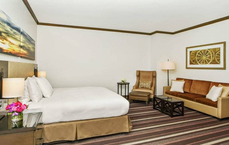 Hilton Dallas Park Cities 14