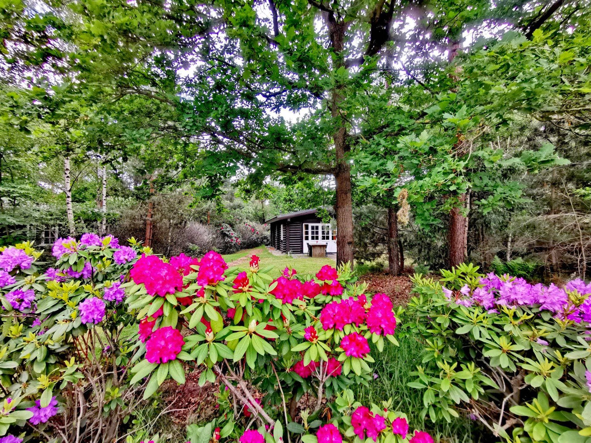 Outdoors Holten 7