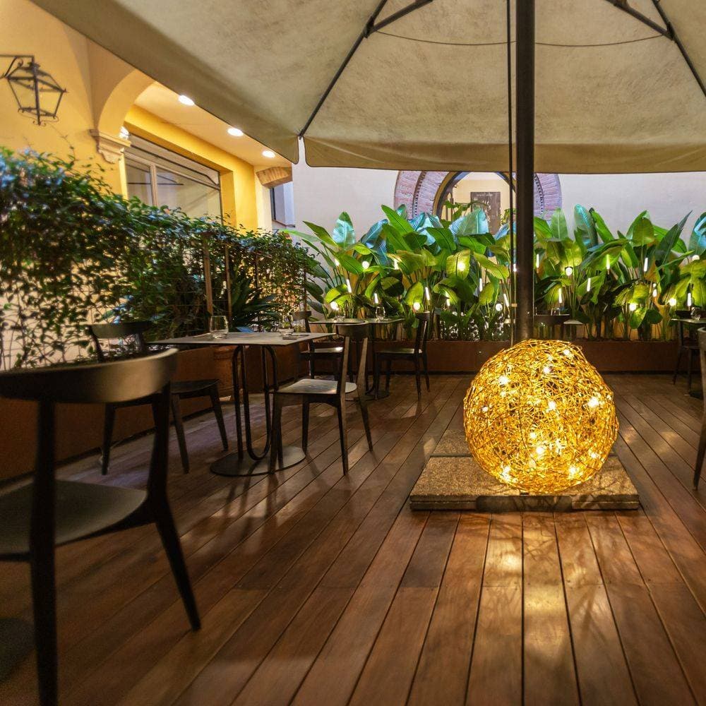 Seta Sushi Restaurant 11