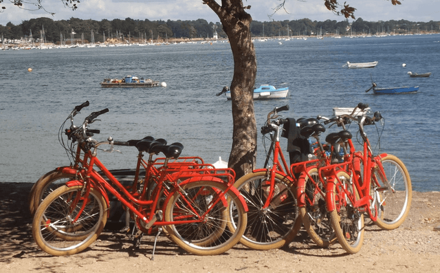 Rallye découverte à vélo - Demi journée
