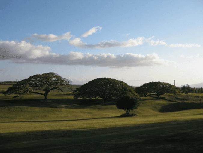 Hui No'eau Visual Arts Center - Maui 10