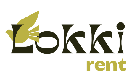 Lokki 1