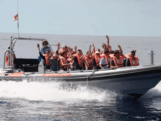 ROTA DOS CETACEOS 1