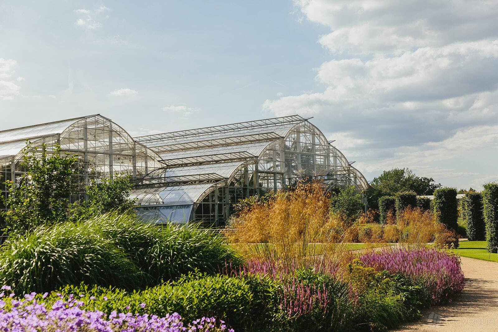 Hilltop at RHS Garden Wisley 47