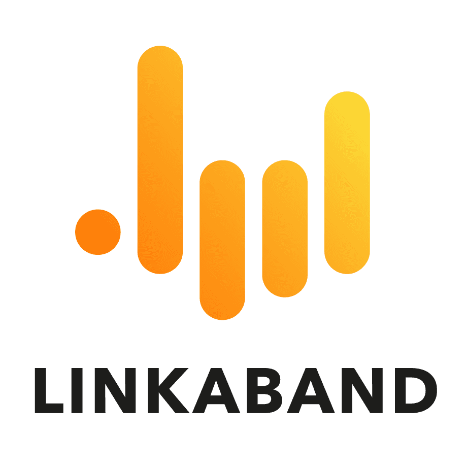 Linkaband 1