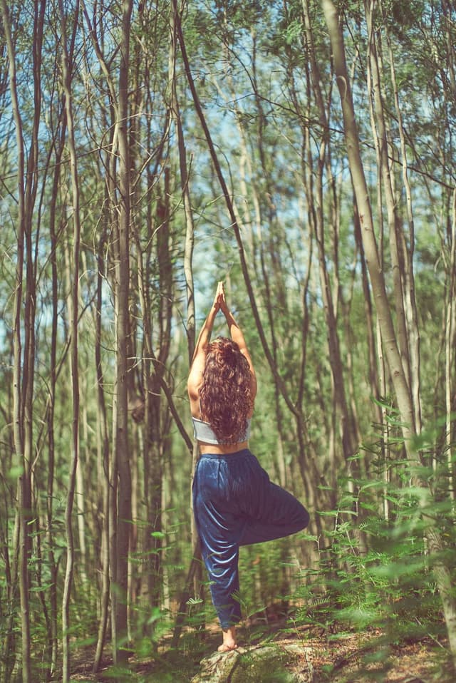 Voyage Intérieur Yoga Et Vin