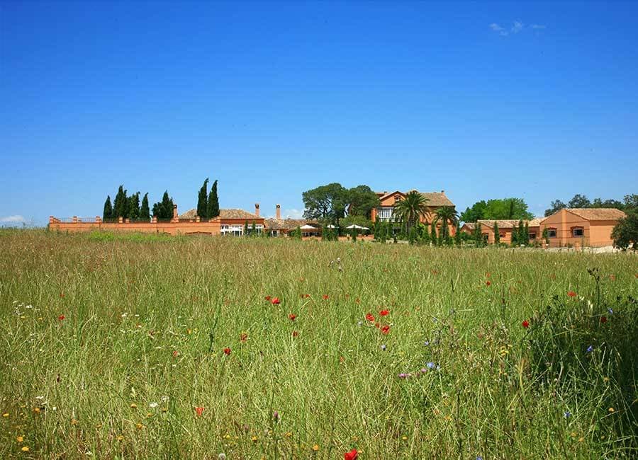 Valdepalacios 1