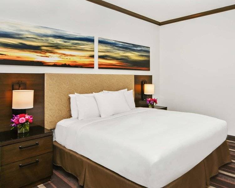 Hilton Dallas Park Cities 17