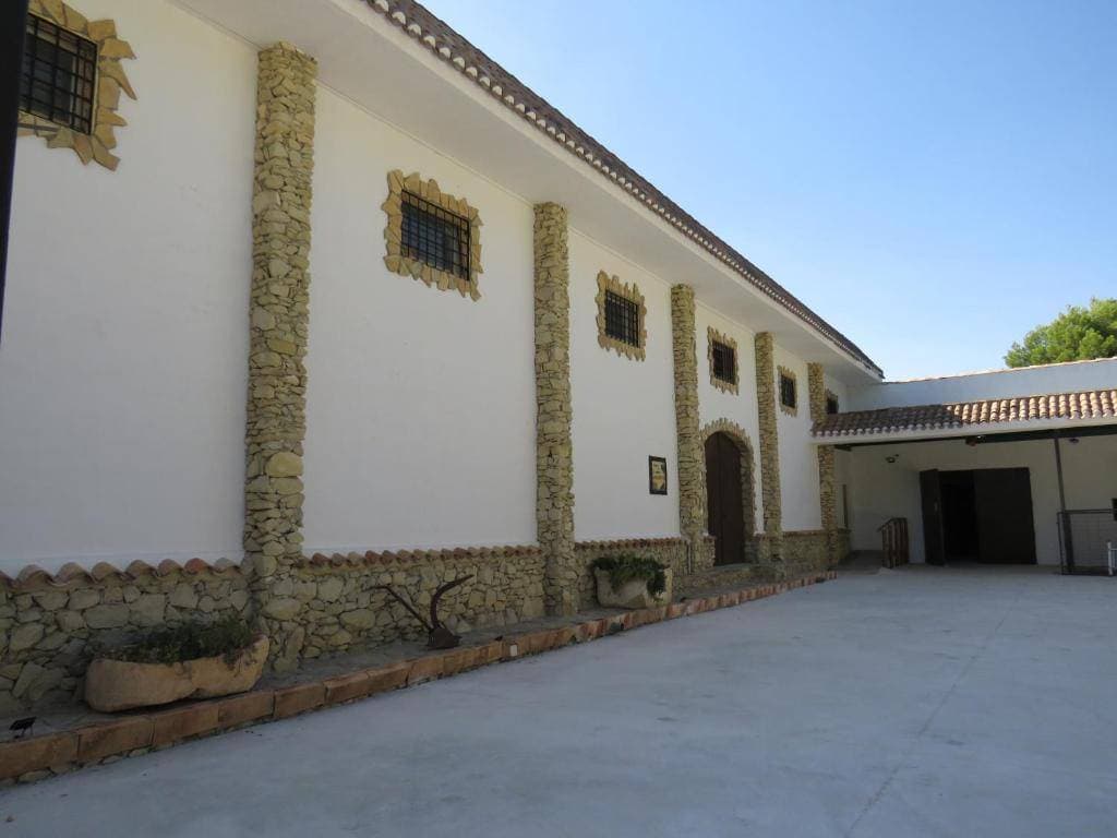Enoturismo Mainetes 5