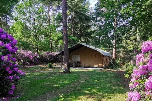 Outdoors Holten 8