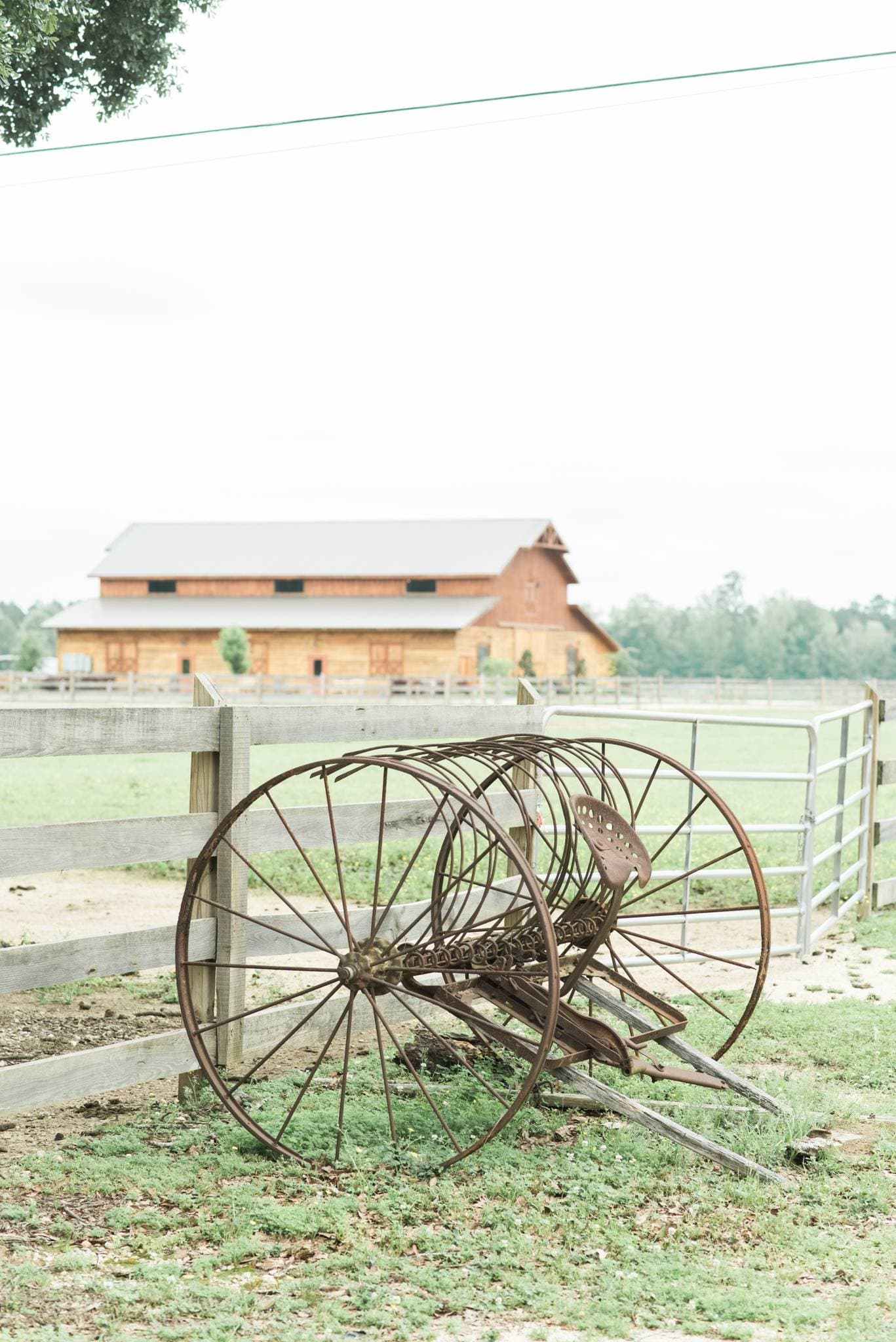 The Berry Barn 10
