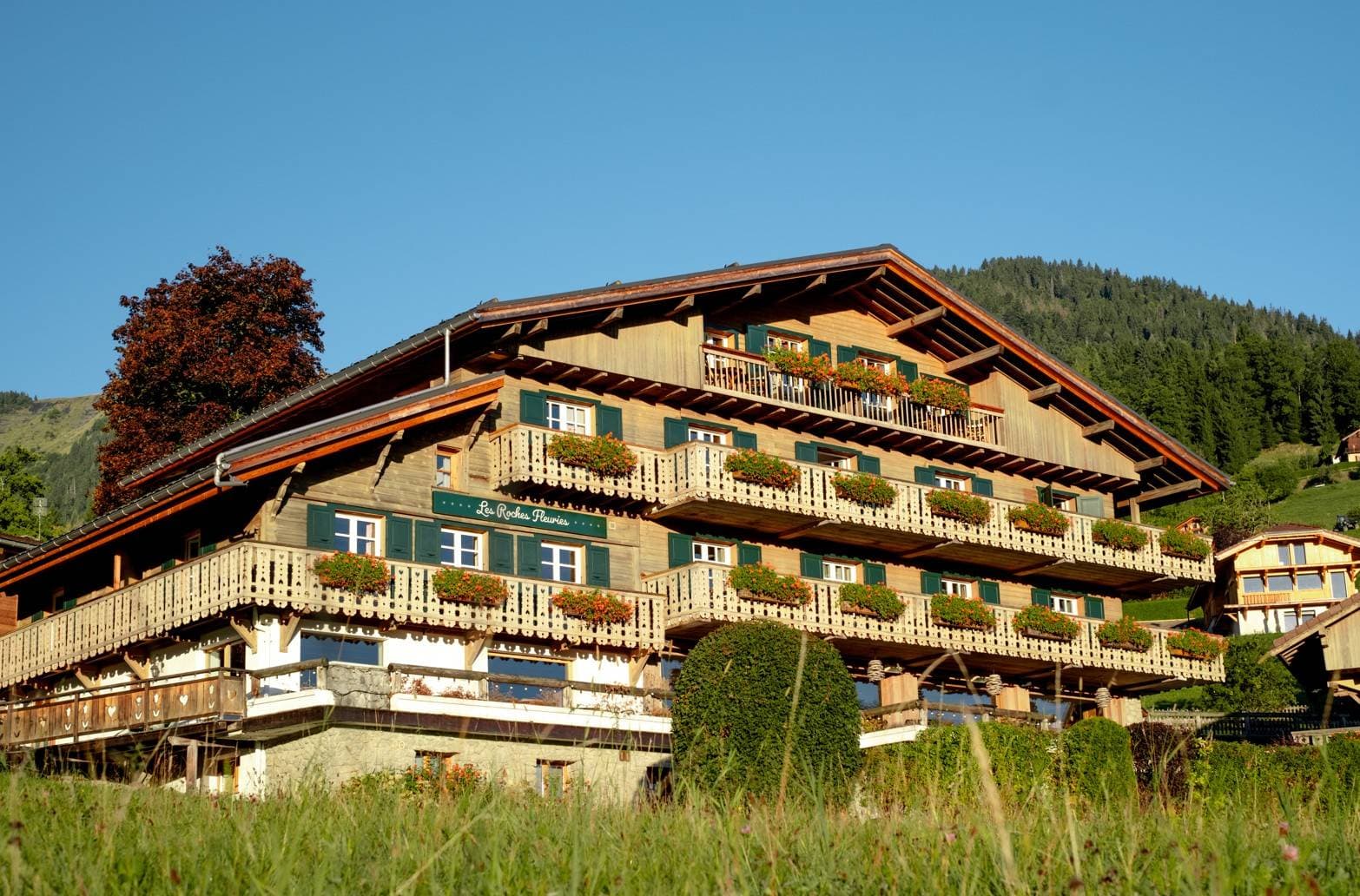 L'hôtel Les Roches Fleuries**** 1