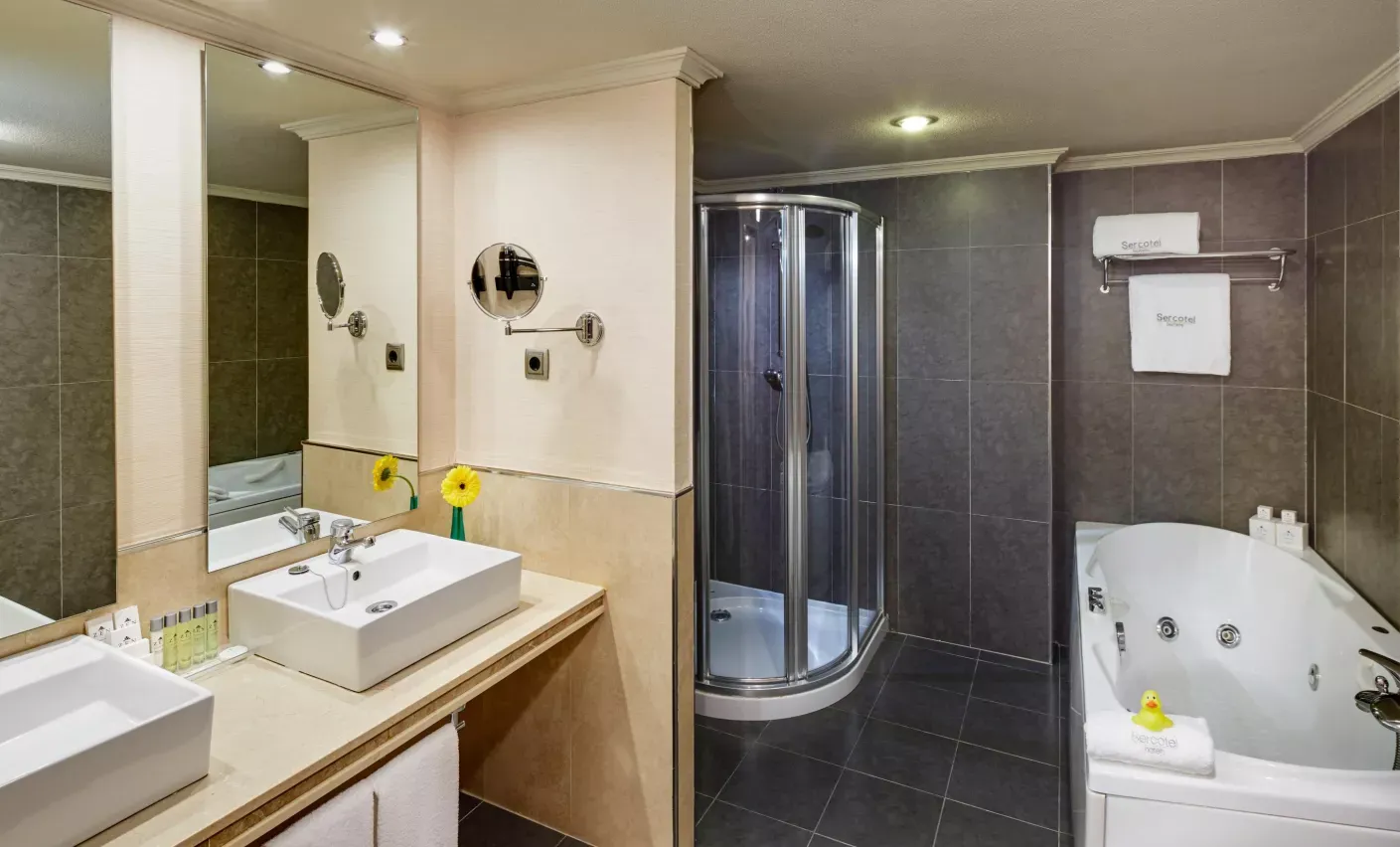 Sercotel Gran Hotel Zurbarán 14
