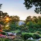 Hilltop at RHS Garden Wisley 9
