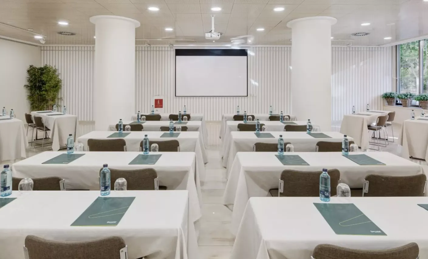Sercotel Los Llanos 12